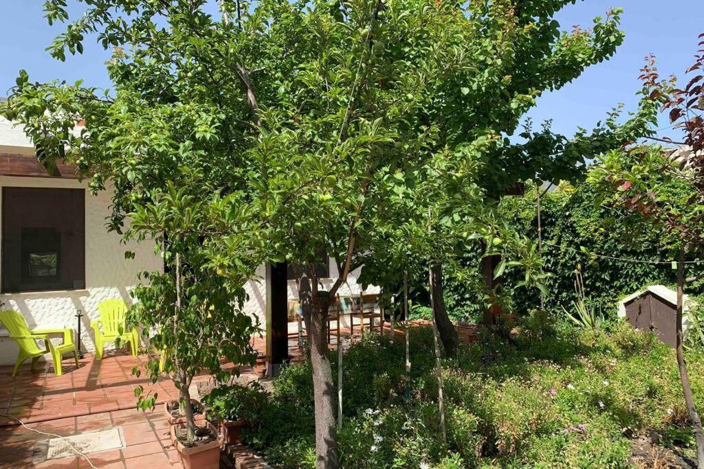 Sant'Andrea  Casa Tranquilla A Pochissimi Passi Dal Mareヴィラ エクステリア 写真