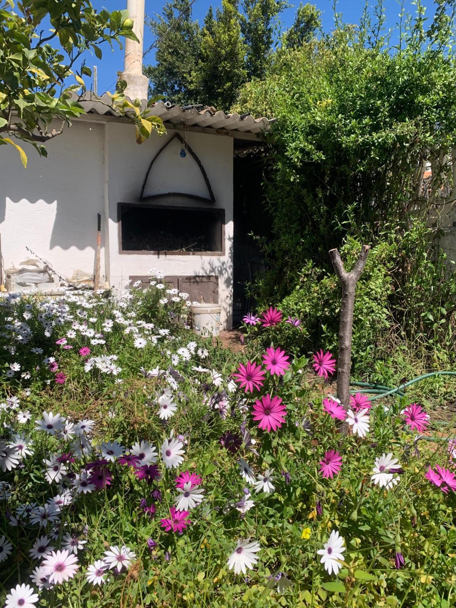 Sant'Andrea  Casa Tranquilla A Pochissimi Passi Dal Mareヴィラ エクステリア 写真